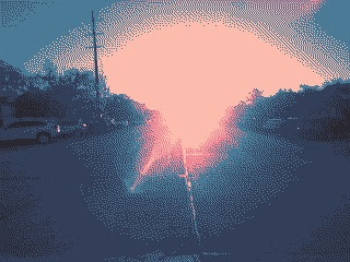 two-headed